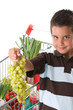 Photo: Little child holding grape Little child holding grape