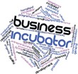 Word cloud for Business incubator