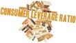 Word cloud for Consumer leverage ratio