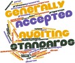 Word cloud for Generally Accepted Auditing Standards
