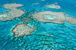 Great Barrier Reef in Queensland,Australia.
