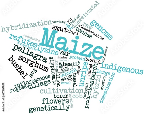 Illustration: Word cloud for Maize Word cloud for Maize