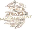 Word cloud for Mobile device management
