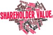 Word cloud for Shareholder value