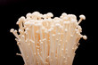 golden needle mushrooms in isolated on black