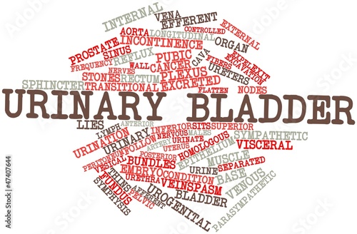 Illustration: Word cloud for Urinary bladder Word cloud for Urinary bladder