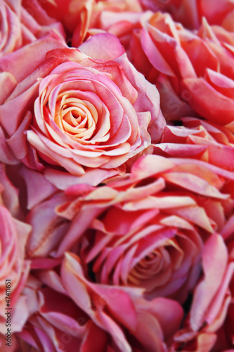 Photo: blumenstrauss blumenstrauss
