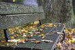 Foto: Sitzbank am Chiemsee im Herbst, Bayern Sitzbank am Chiemsee im Herbst, Bayern