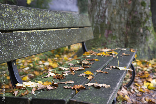 Photo: Sitzbank am Chiemsee im Herbst, Bayern Sitzbank am Chiemsee im Herbst, Bayern