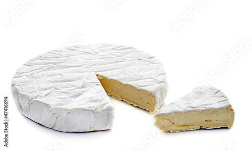 Photo: brie cheese brie cheese