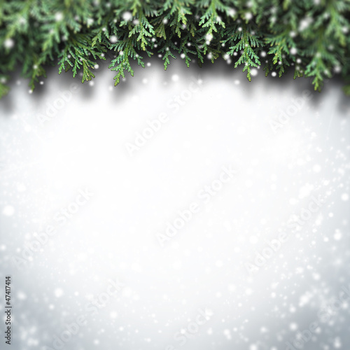 Photo: #504122 #504122