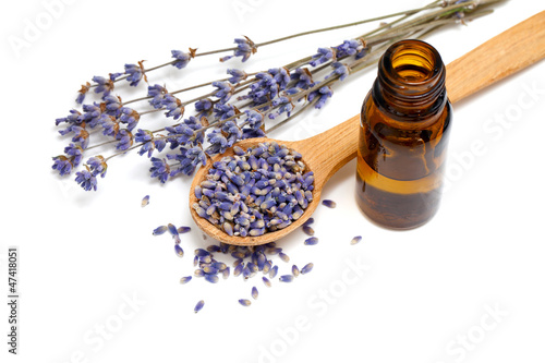 Photo: Dried lavender with a bottle of essential oil Dried lavender with a bottle of essential oil