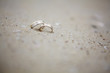 Eheringe im Sand