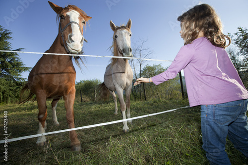 Photo: child and horses child and horses
