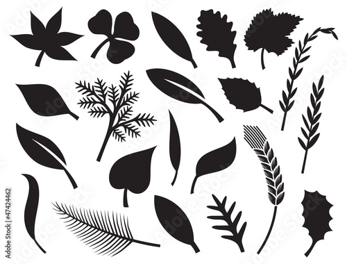 Vector: vector collection of leaf silhouettes - collection leaves vector collection of leaf silhouettes - collection leaves