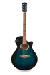 Acoustic guitar