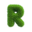 grass letter R isolated on white background