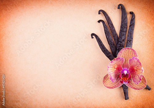 Photo: Vanilla pods with flower Vanilla pods with flower