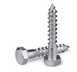 Two stainless steel lag bolts