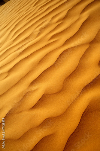 Photo: Sahara Sahara