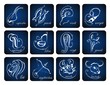 Set of zodiac signs