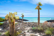 Galapagos Coast