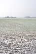 Photo: Little snow on field. Little snow on field.