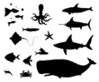 Plaquette de poissons divers