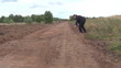 строительство дороги