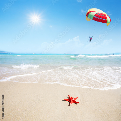 Photo: close up red starfish on beach and parachute in sky close up red starfish on beach and parachute in sky