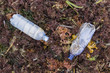 Plastic bottles on the beach