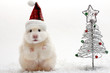 Dwarf hamster with christmas red hat on white background