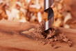 Auger bit drilling wood