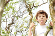 Young boy  in a tree sticks his tongue out