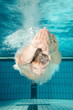 Schwimmer nach dem Kopfsprung