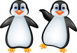 Funny penguin