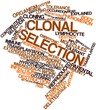 Word cloud for Clonal selection