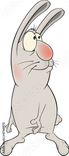 Vector: Cheerful rabbit cartoon Cheerful rabbit cartoon