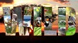 Video: wild collage wild collage
