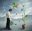 Photo: Plant of money Plant of money