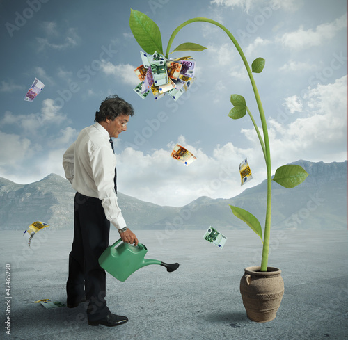 Photo: Plant of money Plant of money