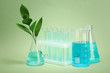 branch with green leaves in test-tubes on green background