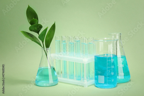 Photo: branch with green leaves in test-tubes on green background branch with green leaves in test-tubes on green background