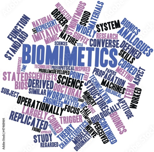 Illustration: Word cloud for Biomimetics Word cloud for Biomimetics