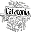 Word cloud for Catatonia