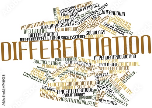 Illustration: Word cloud for Differentiation Word cloud for Differentiation