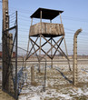 Birkenau Nazi Concentration Camp - Poland