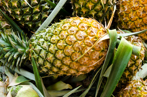 Photo: Pineapple fruit. Pineapple fruit.