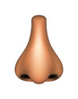 Human nose