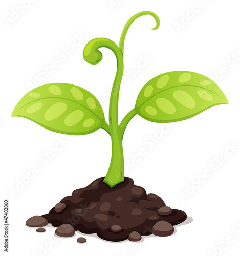 Vector: illustration of New born plant growing illustration of New born plant growing